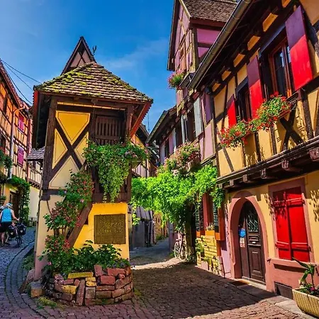 Apartament Bienvenus Au Nid Du Traminer *