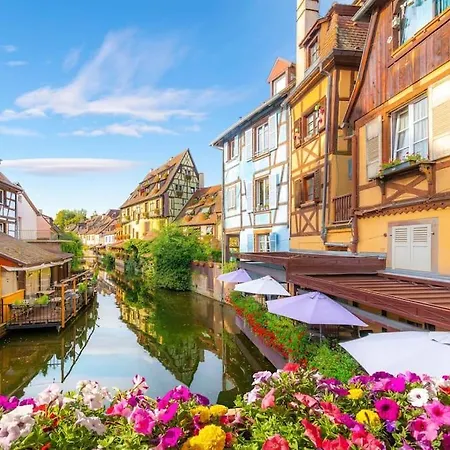 Bienvenus Au Nid Du Traminer Apartament Eguisheim