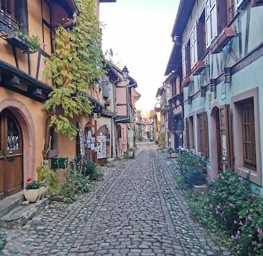 Bienvenus Au Nid Du Traminer Apartment Eguisheim