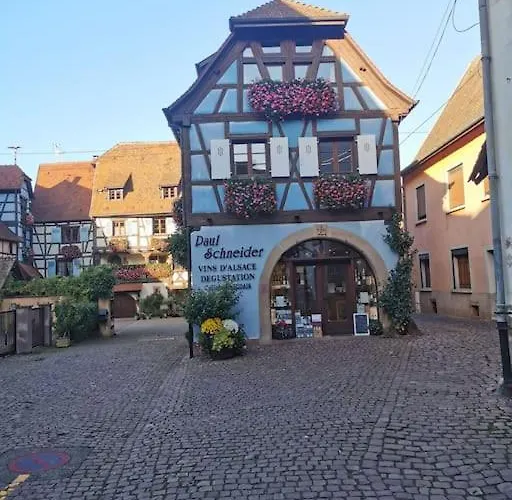 Bienvenus Au Nid Du Traminer * Eguisheim