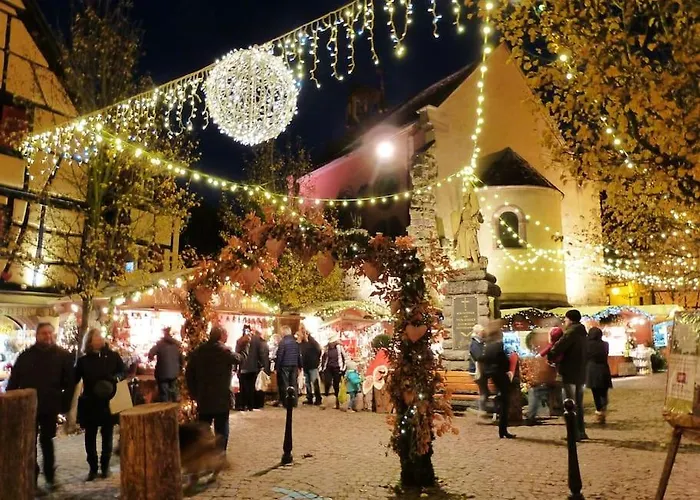 Bienvenus Au Nid Du Traminer Apartment Eguisheim