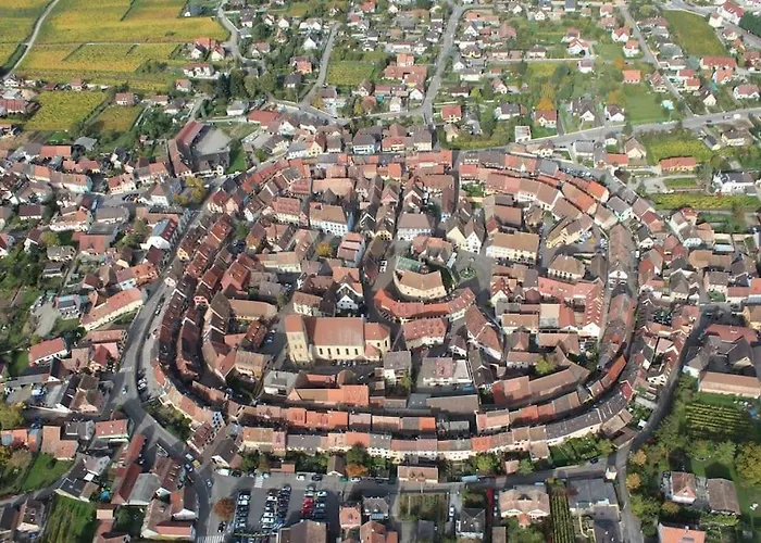 Bienvenus Au Nid Du Traminer Eguisheim